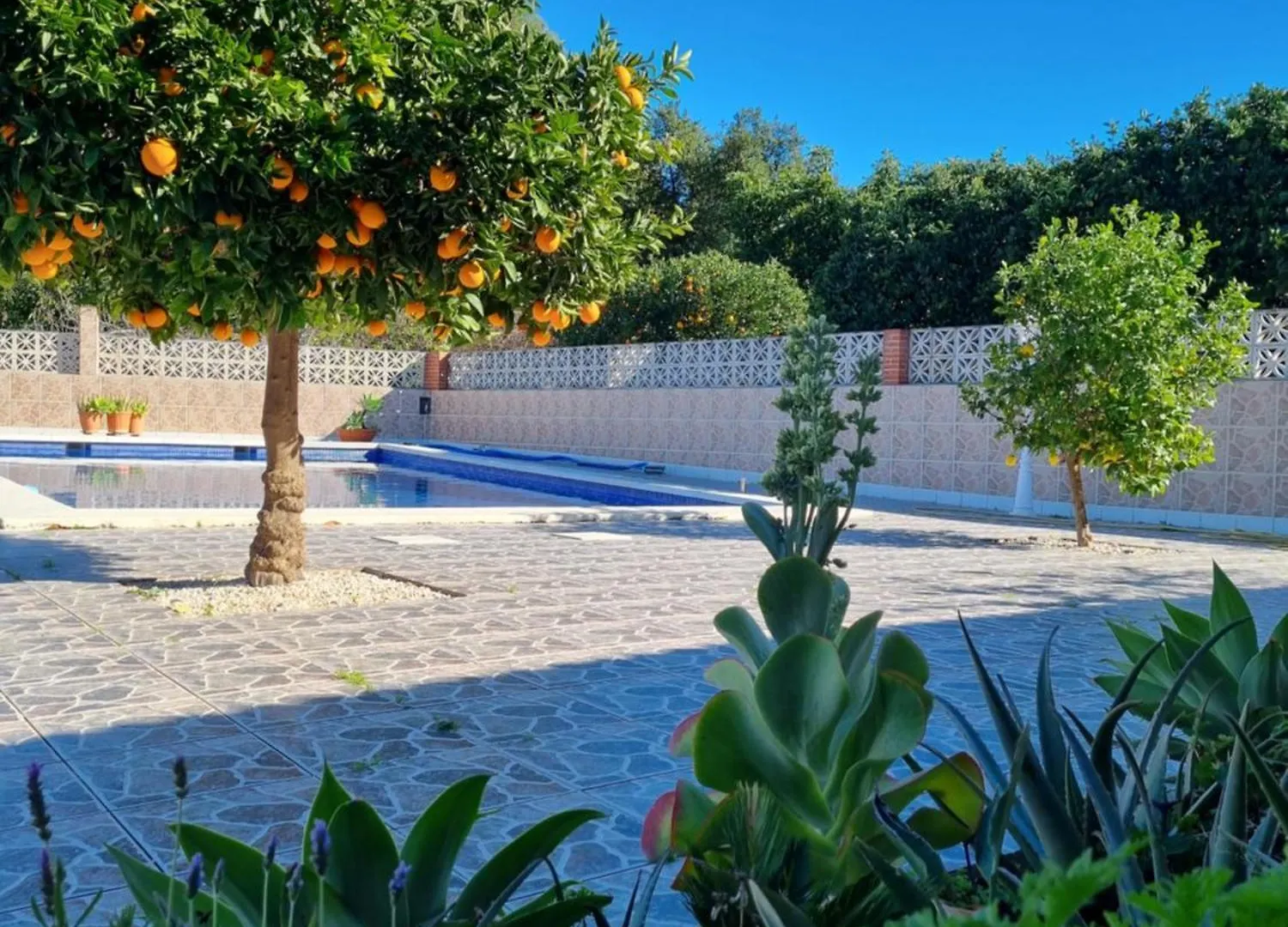 Finca Vista El Montanes Malaga